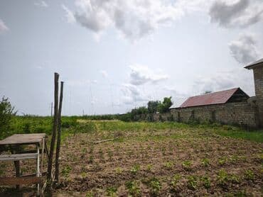 obyekt ucun torpaq: 9 sot, Tikinti, Mülkiyyətçi, Kupça (Çıxarış) — 3