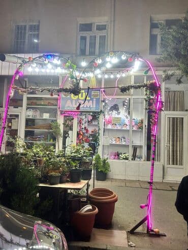 gul rəfi: Hazır biznes, şəkildə gördüklərinizin hamısı qalacaq Gül Aləmi – gül — 6