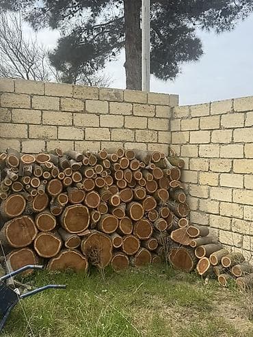 Samovarlar: Ocaq və soba üçün kəsilmiş odun - Növ: qalın və nazik kəsiklərdən — 1