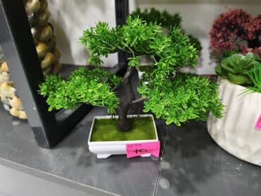 Süni bonsai dekorativ ağac - Realistik görünüşlü, qara gövdəli və sıx