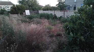 ismayilli a frame evler: 3 otaqlı, 100 kv. m — 7