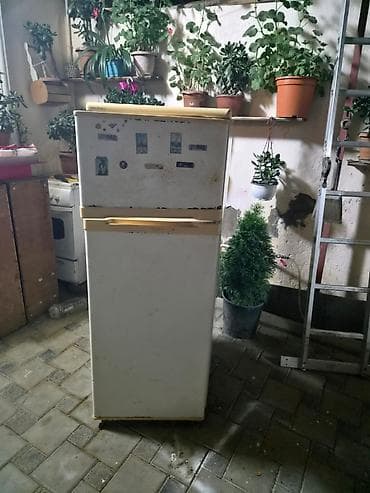 soyuducu rezini: " BEKO" Soyuducu 2 kameralıdır Qapı rezinləri yenicə dəyişilib- — 1