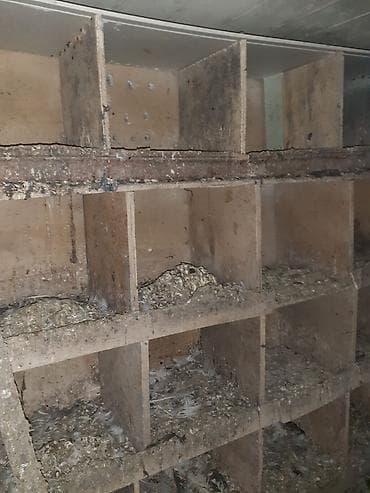 Heyvanlar üçün mallar: Quş yuvaları və kiçik quşxana - Material: taxta karkas, arakəsməli — 7