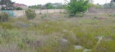 qaxda torpaq ve ev elanlari: 10 sot, Tikinti, Makler, Kupça (Çıxarış) — 5