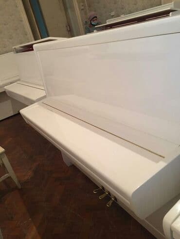 terlan elekberov: Pianino PETROF Cexya stehsalı. Ideal vəziyyədə. Cadırılma və köklənmə — 3