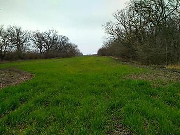 6 mk kiraye evler: 300 sot, Kənd təsərrüfatı, Mülkiyyətçi, Kupça (Çıxarış) — 4