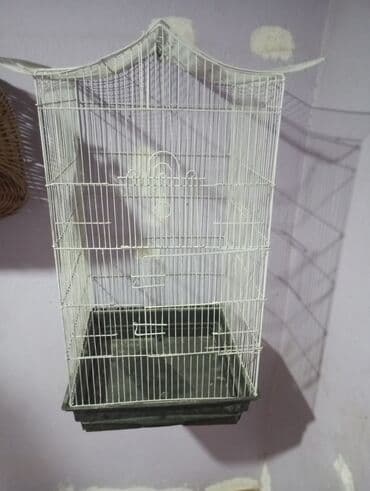 quş yuvaları: Böyük qəfef 30 manat Ünvan Bileceri — 1