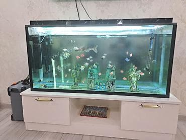 240 litrlik akvariumdu su filteri skafi ile birlikde satilir hamisin