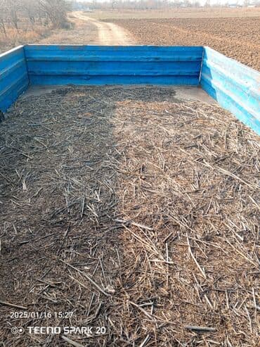 qadınlar ucun maşınlar: Traktor Belarus (MTZ) T 42 1988 il, 42 at gücü, motor 4.2 l, İşlənmiş — 11