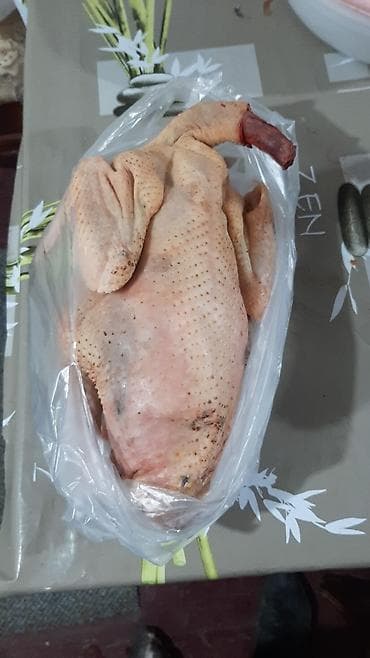 Gəmiricilər: Satılır: hinduşka əti kiloqramları 3 5 arası dəyişir Məhsul — 2