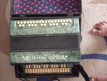 духовой деревянный инструмент: Гармонь, Акустический — 1