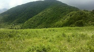 mingecevirde heyet evleri: Kənd təsərrüfatı — 2