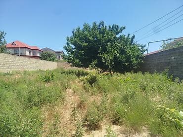 şəkidə torpaq: Torpaq sahəsi – Qurd Dərəsi - Ölçü: 4 sot - Məkan: Qurd Dərəsi — 2