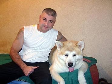 dogo argentin: Cinsi və peyvənd olunmuş İtləri gəzdirmək, saxlamaq, çimizdirmək — 1