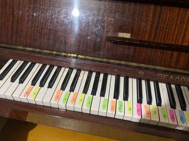 деревянные духовые музыкальные инструменты: Piano, Belarus, Akustik — 3