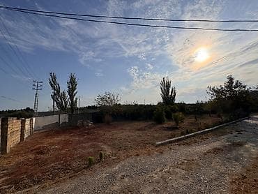 topaq: 4 sot, Mülkiyyətçi, Kupça (Çıxarış) — 6