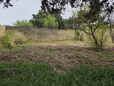 2 sot, Tikinti, Mülkiyyətçi, Kupça (Çıxarış)