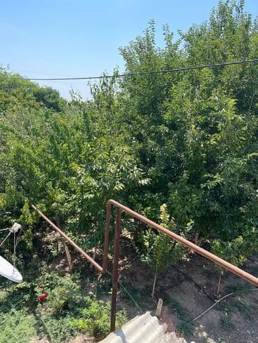 kub az kirayə evlər: Geniş və işıqlı mənzil interyeri - Zal: Geniş planlı, dekorativ güllü — 16