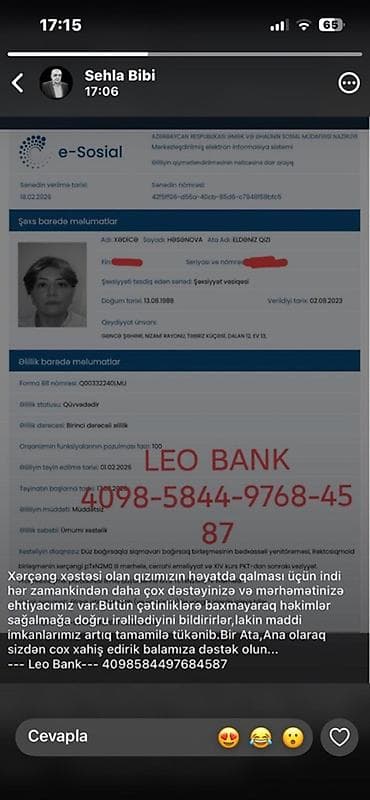 cutlesme disi: Retriever, 6 ay, Dişi — 6