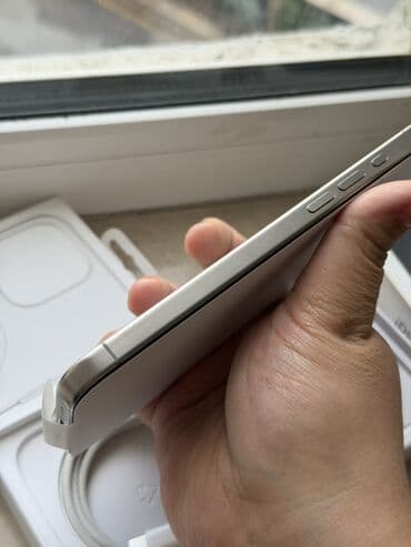 telefon case: IPhone 15 Pro Max, 256 GB, Natural Titanium — 6