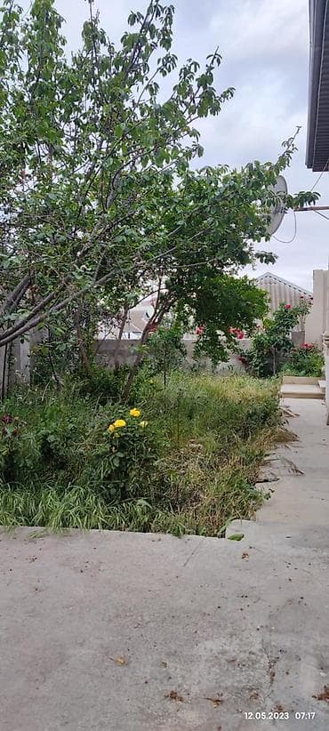 quba evleri: Abşeron ray Masazır Qaçaq Nəbi küç ev 33, 569 nömrəli marşrut evin — 8