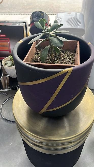 sarmaşıq gul: Dekorativ güldan/çiçək qabları dəsti - Müxtəlif dizaynlar — 2