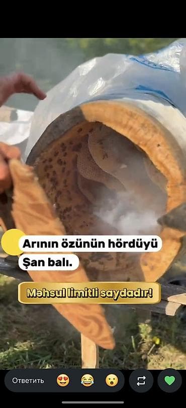 Bal: Şan balı – arının özünün hördüyü təbii bal - Məhsul: Şan balı (bal — 2