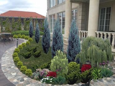 lipa ağacı: Dekarativ agaclarin satisi qazon torpaq torf diger gubrelerin satisi — 18