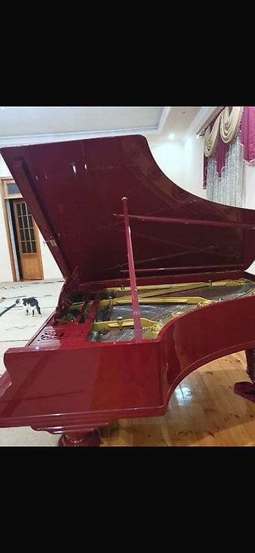 Musiqi alətləri: Çarlıq Rusiyasının ən nüfuzlu və saray təsdiqli piano — 1