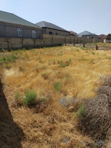 участок в деревне: 6 соток, Для сельского хозяйства, Собственник, Купчая, Техпаспорт — 7