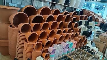 Dibçək müxtəlif qiymetler qiymetle bagli yazin Gül qabı Gül