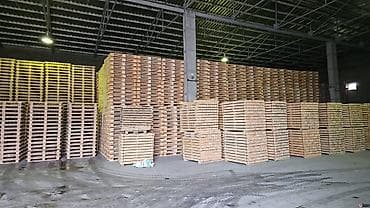 paddonlar: Taxta paletlər – anbarda yüklərin yığılması, daşınması və saxlanması — 1