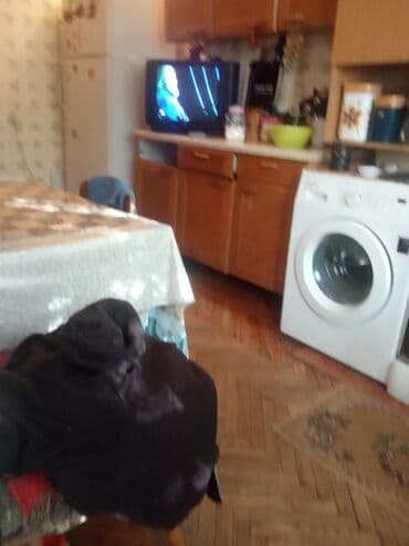 суточный квартира токмок: Баку, 4 комнаты, Вторичка, м. Гянджлик, 100 м² — 13