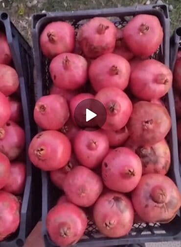 бак для воды в квартиру: Təzə nar satılır. Nə qədər istəsəniz var — 2