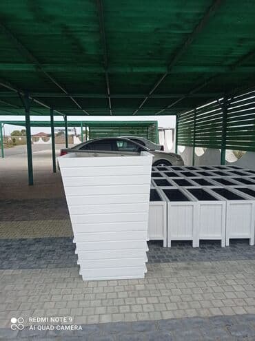 dibçek gulleri: Dibçək güldanlar. Dipçəklər bir başa sexdən.Sex qiymətinə. ♦️Endrim — 8