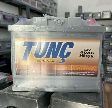 Yağlar və avtokimyəvi maddələr: Topdan və pərakəndə satış Avtomobil akkumulyatorları – müxtəlif — 1