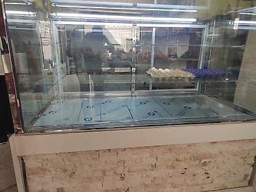 xaladenik gence: Mağaza vitrin Siriniyat soyuducusu - Tip: Şüşə vitrinli ticarət — 4