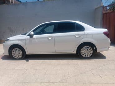 Dayələr: Minik avtomobili — 4