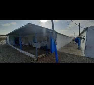 arenda donər: Ferma kompleksi – dağ mənzərəli, geniş ərazili təsərrüfat sahəsi — 7