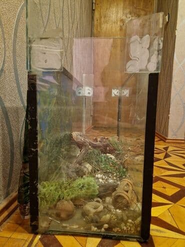 Şüşə terrarium/akvarium - Material: qalın şüşə, metal/plastik künc