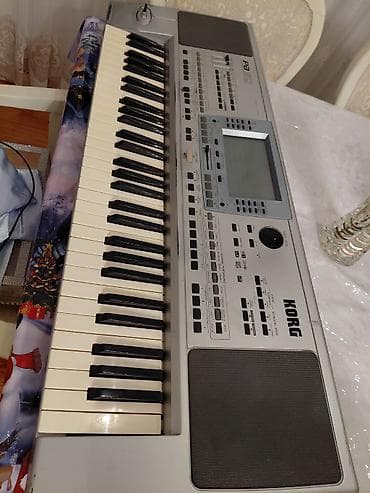 Gitaralar: Sintezator, Korg — 5