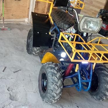 ag qara niva: Yükdaşıma üçün təkmilləşdirilmiş ATV (kvadrotsikl) - Güclü iri — 7