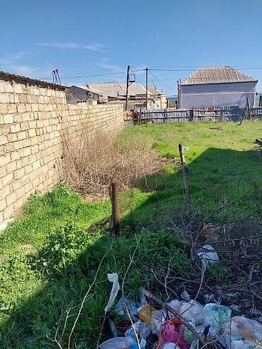 torpag satilir: Tikinti — 5