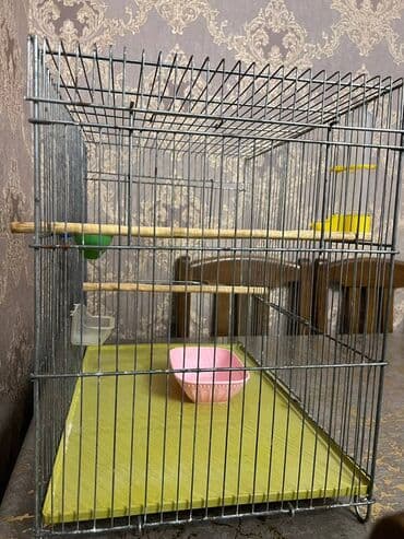 Quş qəfəsi – geniş və praktik model Məhsulun xüsusiyyətləri: -