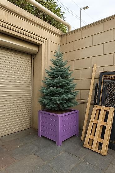 heyet ucun guller: Taxtalar ile ev, bağ, restoran, ofis, otel ve s. məkanlarınızın müasir — 4