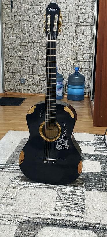 Digər musiqi alətləri: Klassik gitara — 2