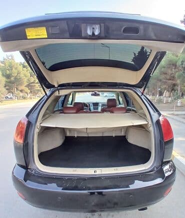 Digər nəqliyyat: Lexus RX: 3.5 l | 2008 il Krossover — 9