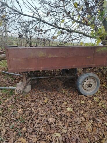 maşın üçün çexol: At arabaları — 3