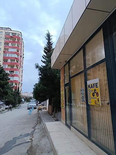 kirayə kafe və restoranlar: Sumqayta kafe arendaya verilir sosiyal mudafiya fondunun yanı butun — 1