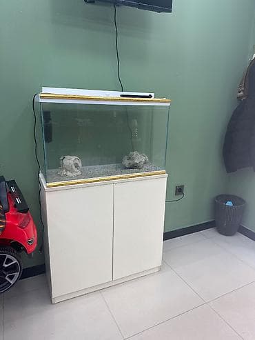 Akvariumlar: Bow akvarium satilir Skafi ile birlikde icinde bezi dekorlari var — 1